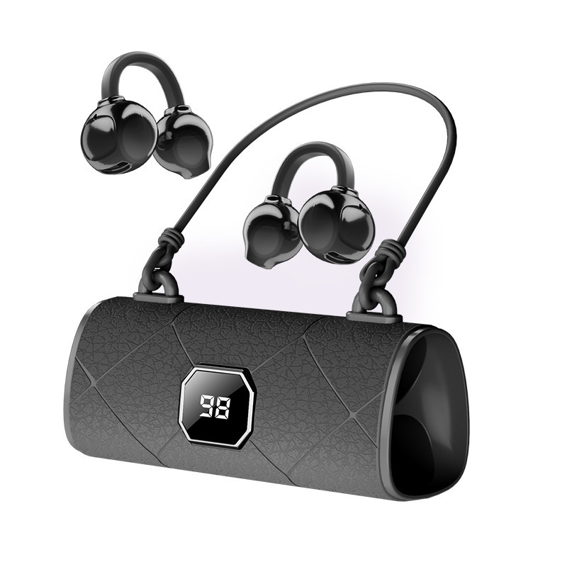 Language Translator Earbuds